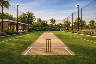 Cricket Pitch